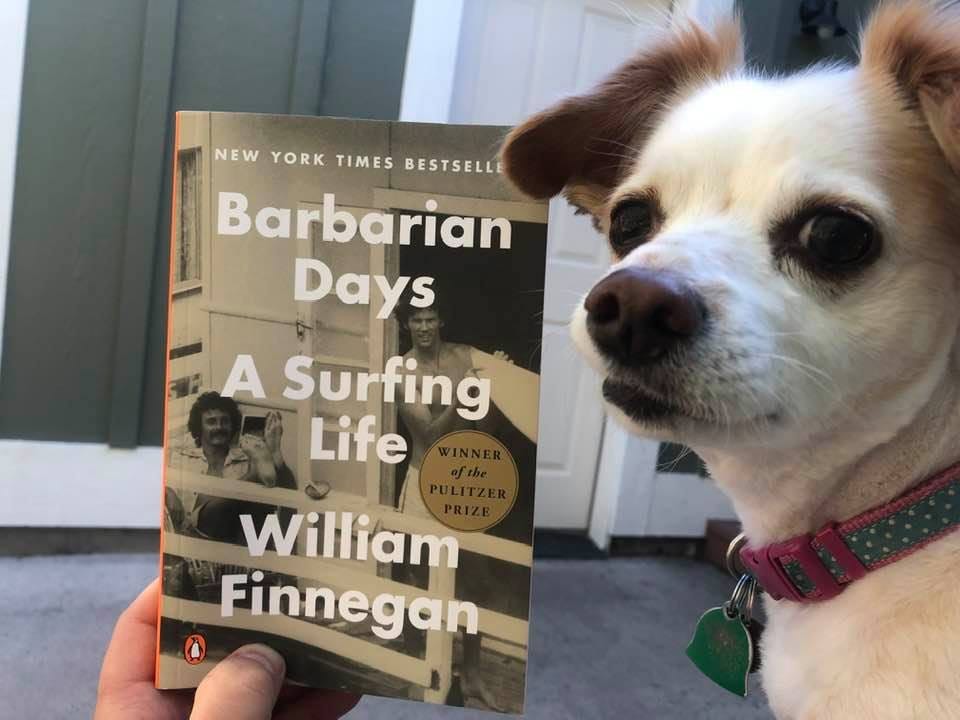 May be an image of 2 people, dog, book and text that says 'NEW YORK TIMES BESTSELLE Barbarian Days A Surfing Life William Finnegan'