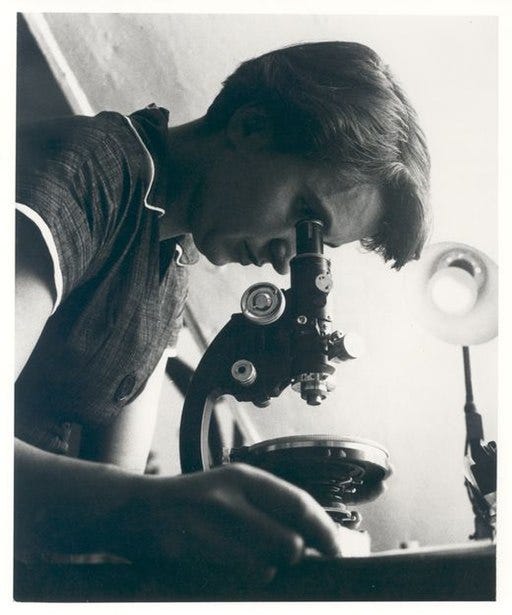Rosalind Franklin looking into a microscope. MRC Laboratory of Molecular Biology, CC BY-SA 4.0 <https://creativecommons.org/licenses/by-sa/4.0>, via Wikimedia Commons