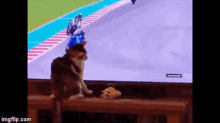 gifje van een kat die voor een tv zit, op het scherm tikt en dan valt er een motorrijder die in beeld zit 