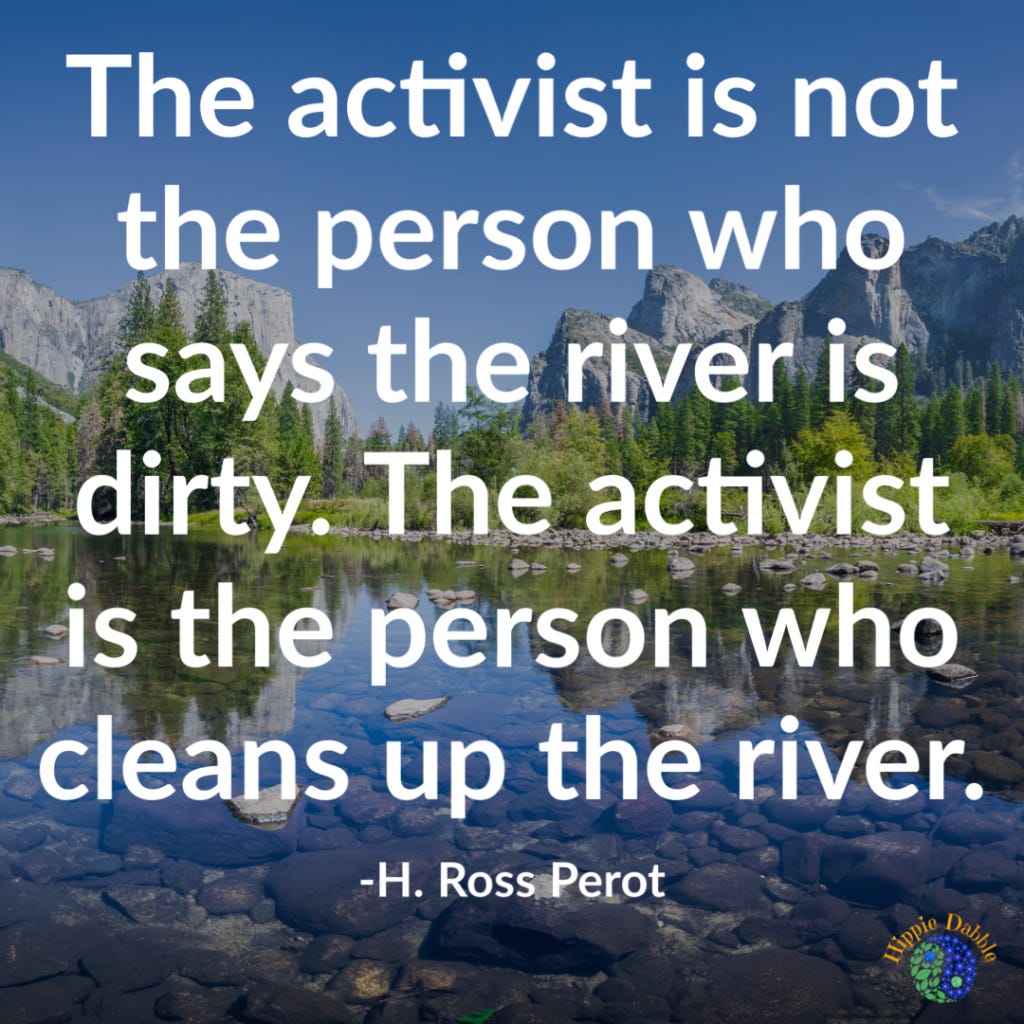 The activist is not the person who says the river is dirty. The activist is the person who cleans up the river.