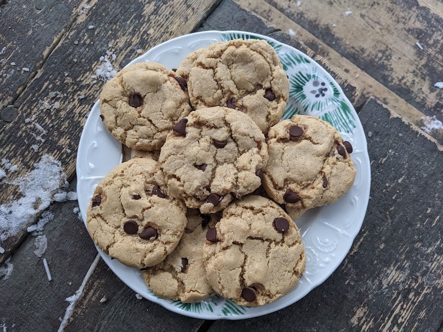 chocolate chip cookies
