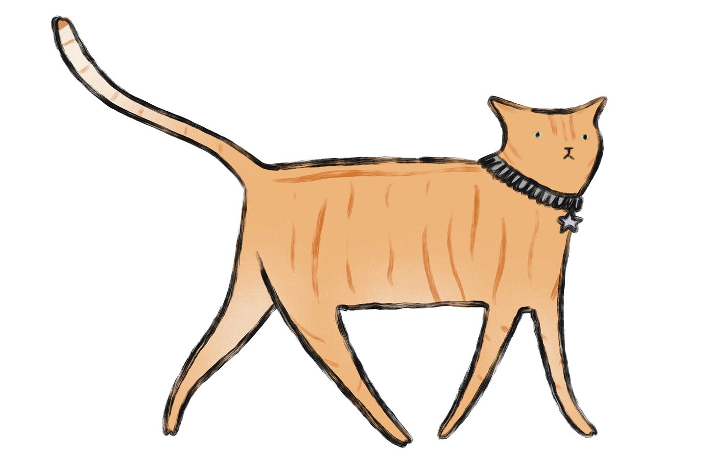 An orange tabby cat with long legs and a star-shaped tag on his collar
