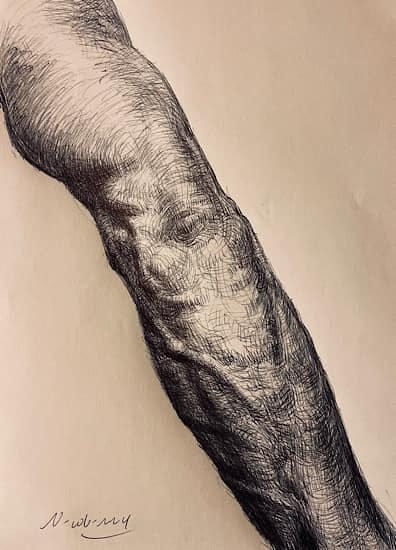 Newberry, Back Arm, 2021, ink, 10x8"