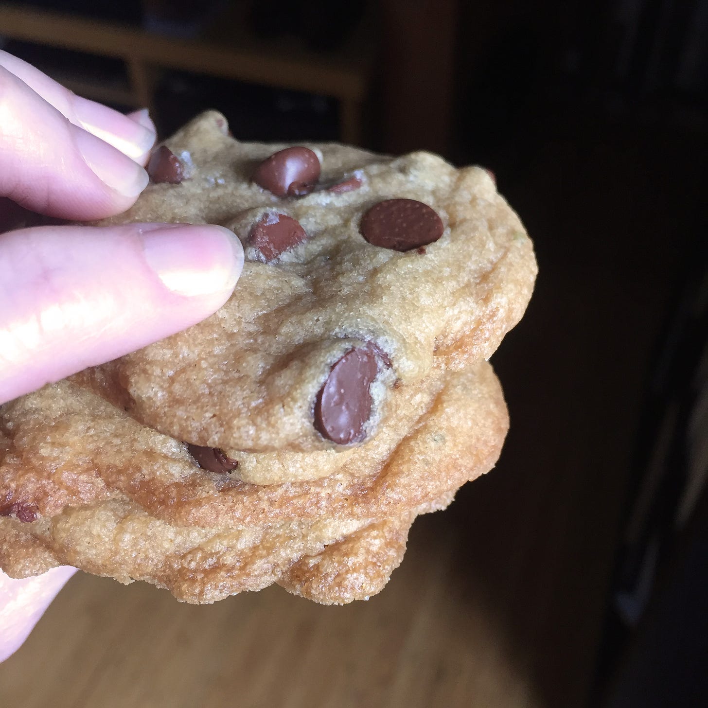 My hand just at the edge of the frame, holding a stack of three chocolate chip cookies.