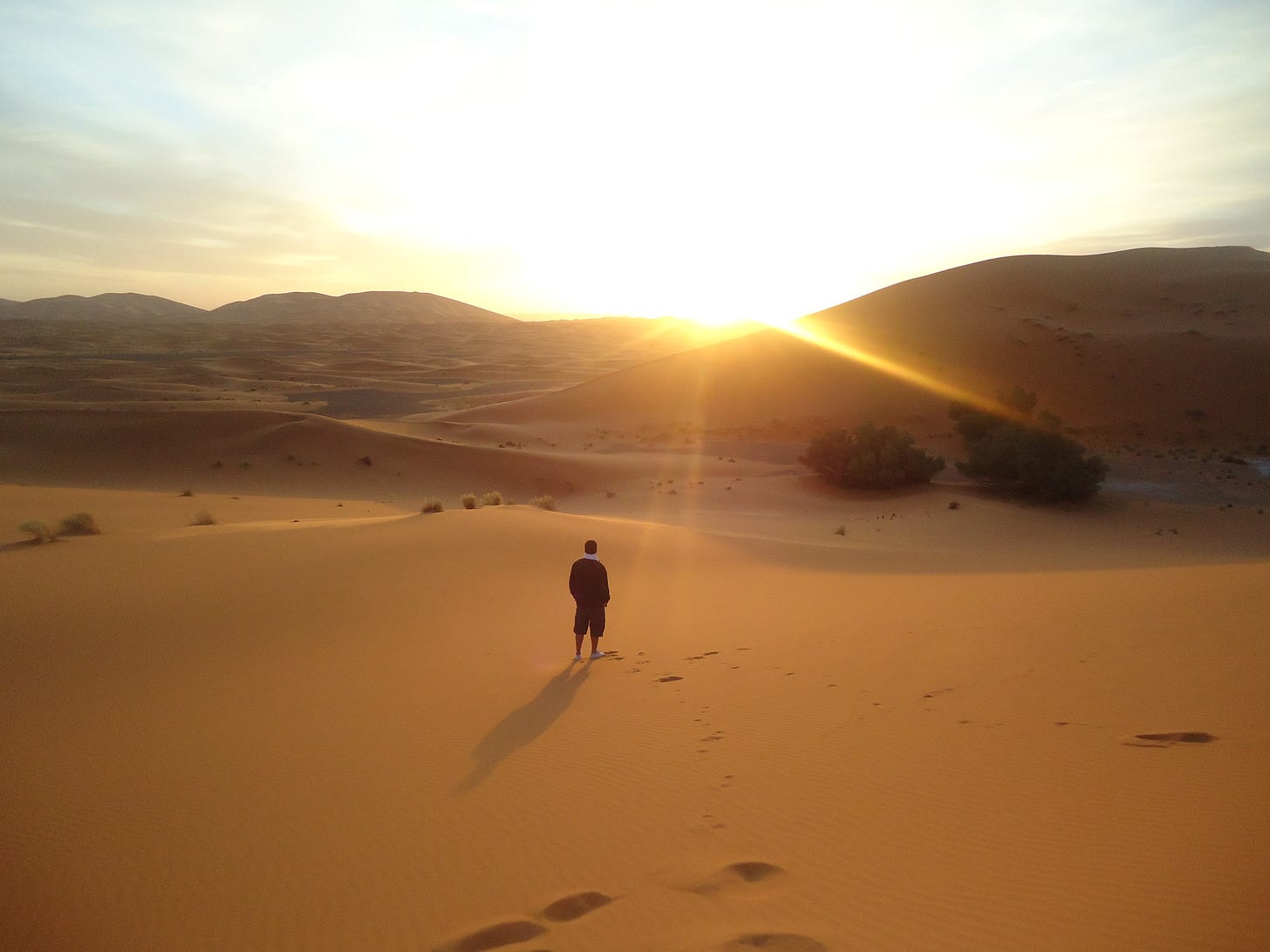 backlit-dawn-desert-774835 (1)