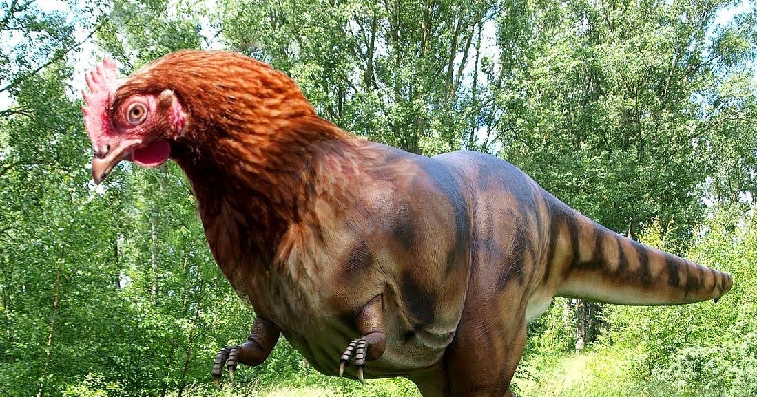 Chicken grows face of dinosaur