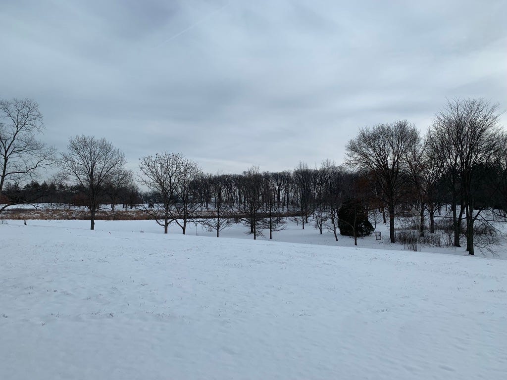 A snowy landscape, with numerous bare trees and a grey, cloudy sky.