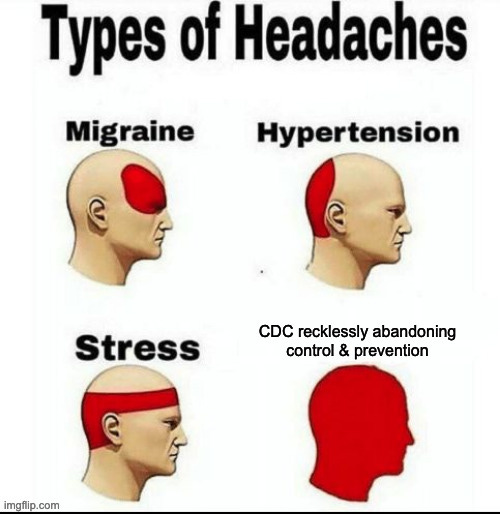 Types of Headaches Meme. 4 images of a person's head. The first one has part of the face & forehead depicted in bright red with the caption migraine. the second one is labeled hypertension and the red is on the back of the head. the third is labeled stress and the red is a band around the head. the forth picture has the entire head red and is labeled CDC recklessly abandoning control & prevention