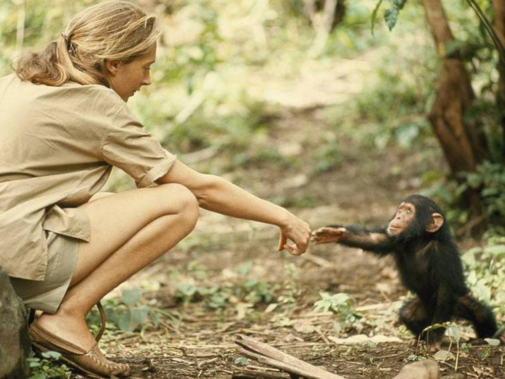 Jane Goodall: Transformation of the Planet — Role Model Change Makers