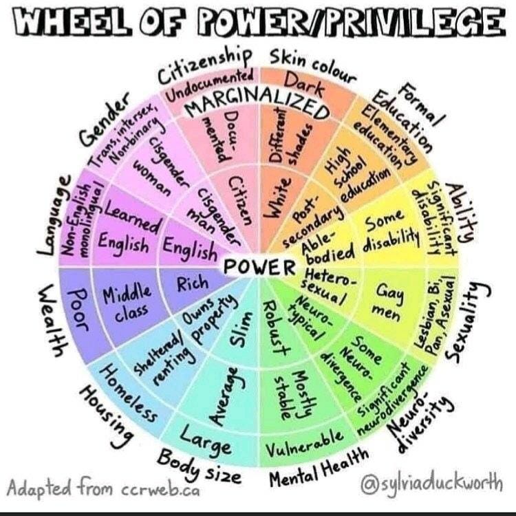 Wheel of Power and Privilege by Sylvia Duckworth