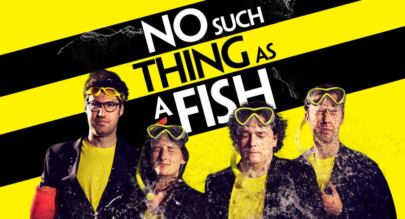 Geel zwarte achtergrond waar je gekanteld en in zwart wit de titel No Such Thing As a Fish ziet. Op de voorgrond een foto van de vier presentatoren (drie mannen en een vrouw) naast elkaar, die allemaal een geel shirt, zwart jasje en gele duikbril dragen. De drie rechter presentatoren krijgen water in hun gezicht gegooid.