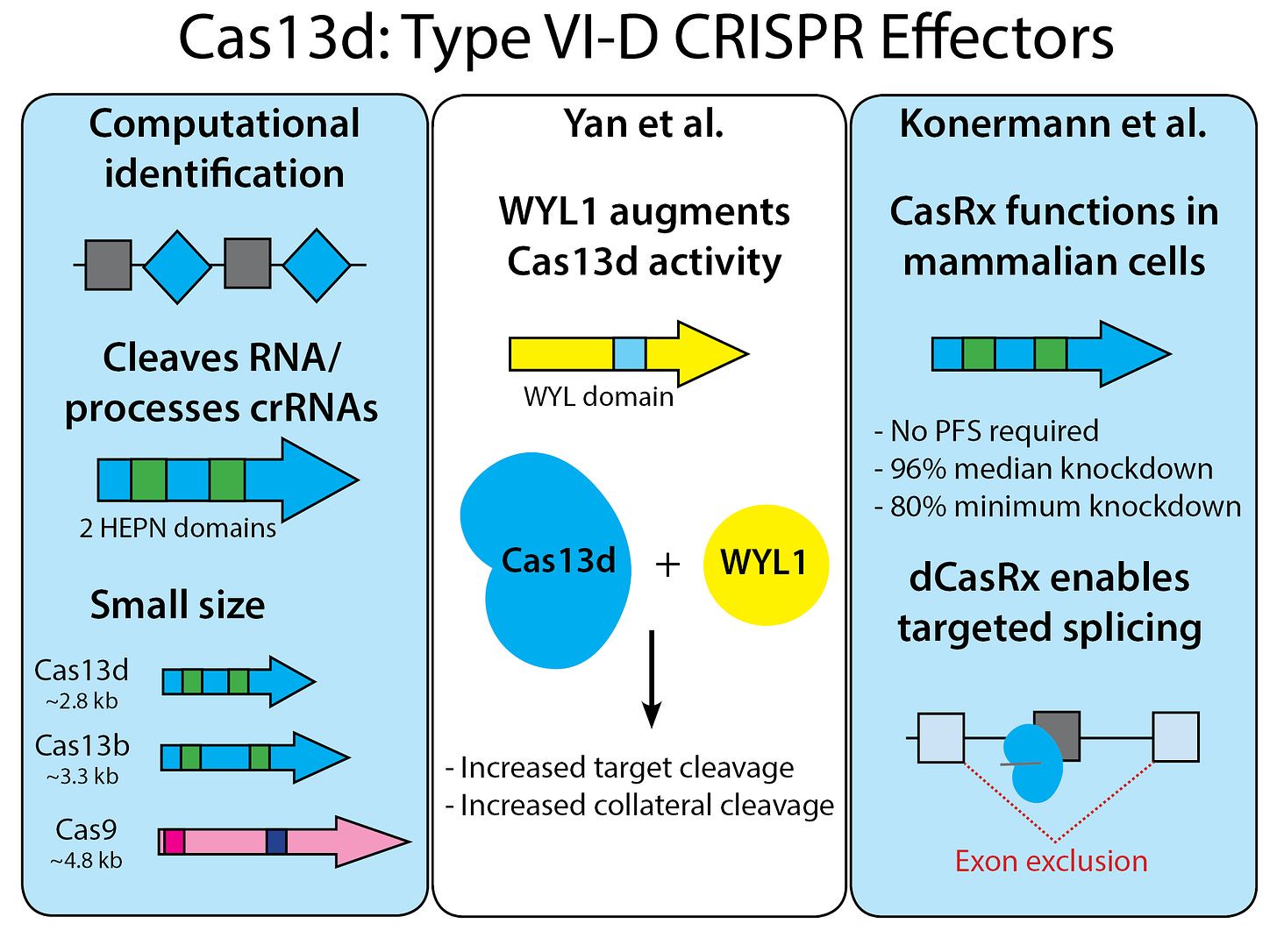 Image result for casrx size