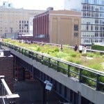 New York's High Line