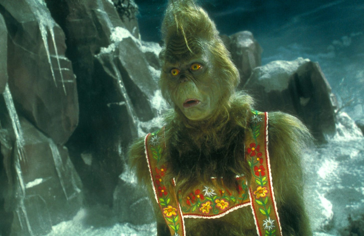 The Grinch - How The Grinch Stole Christmas Photo (30805502) - Fanpop -  Page 2