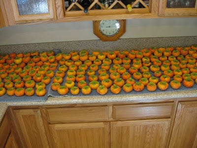 japanese persimmon fruits