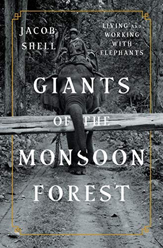 Giants of the Monsoon Forest: Living and Working with Elephants - Kindle  edition by Shell, Jacob. Politics & Social Sciences Kindle eBooks @  Amazon.com.
