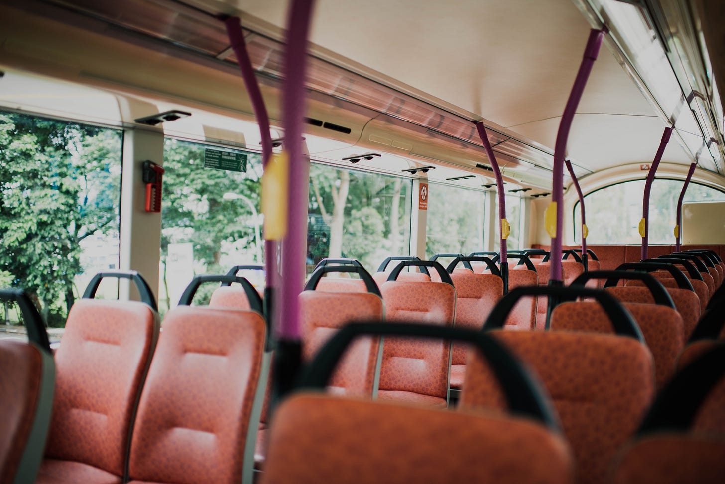 Empty bus seats with trees visible through the windows