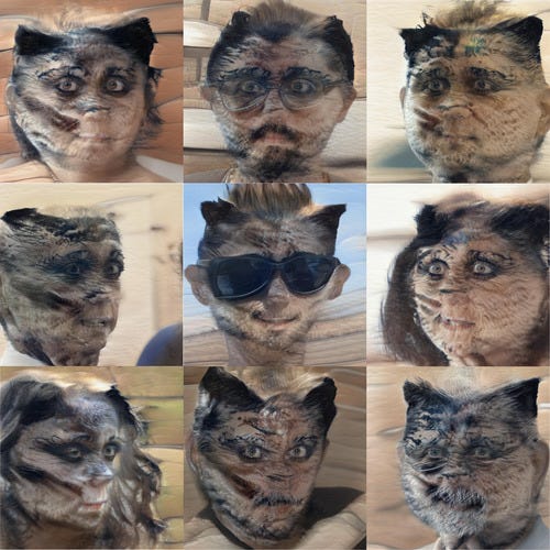 It’s a sequence of people with furry tortoiseshell faces. Most have very dark rings around their eyes as if they’re wearing mascara. Some have moustaches that are made of black striped fur, or longer fur. Their irises have gone strangely blonde. It is quite horrible.