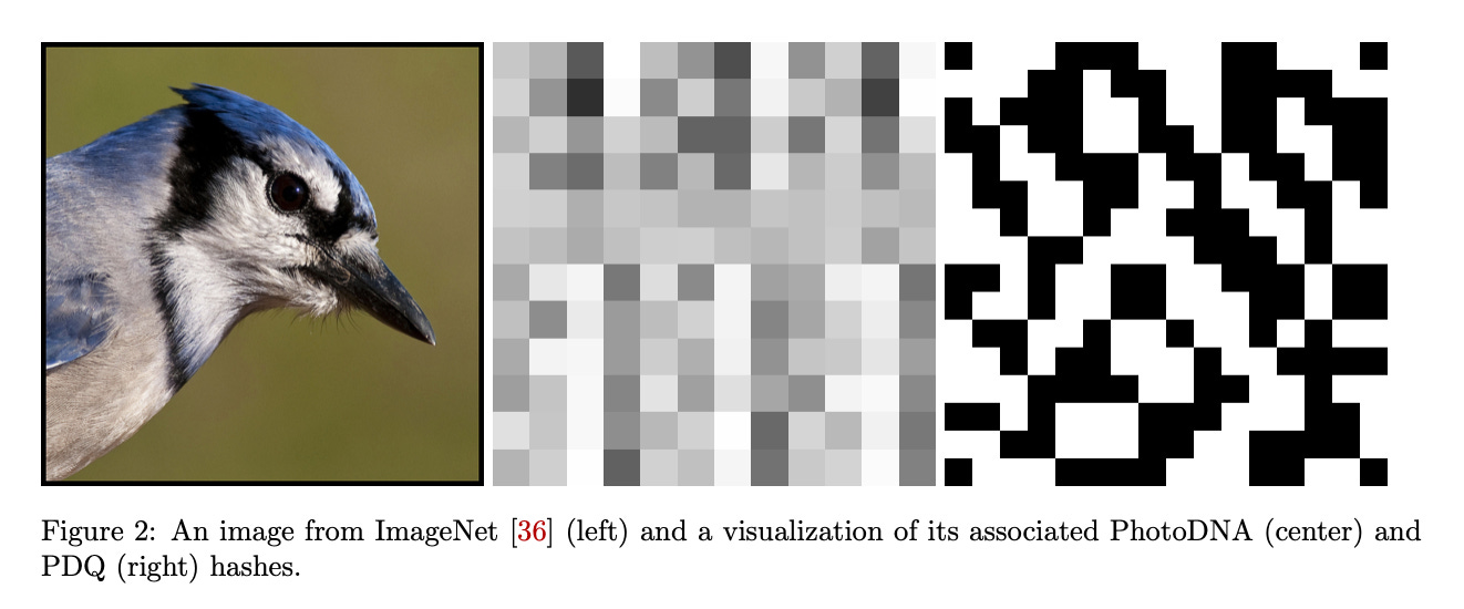 Three square images. Left: the head of a bird, possibly a blue jay. In the center, small gray and white squares, and on the right, black and white squares, like a QR code. Text: “Figure 2: An image from ImageNet (left) and a visualization of its associated PhotoDNA (center) and PDQ (right) hashes.”