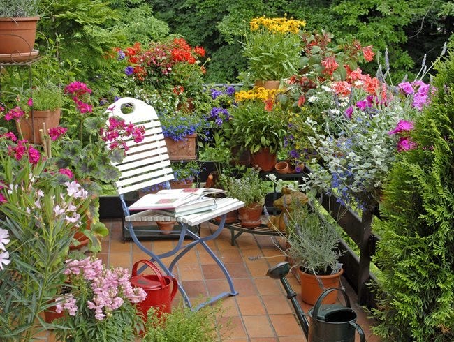 Flowers Growing On Balcony, Small Flower Garden
Shutterstock.com
New York, NY