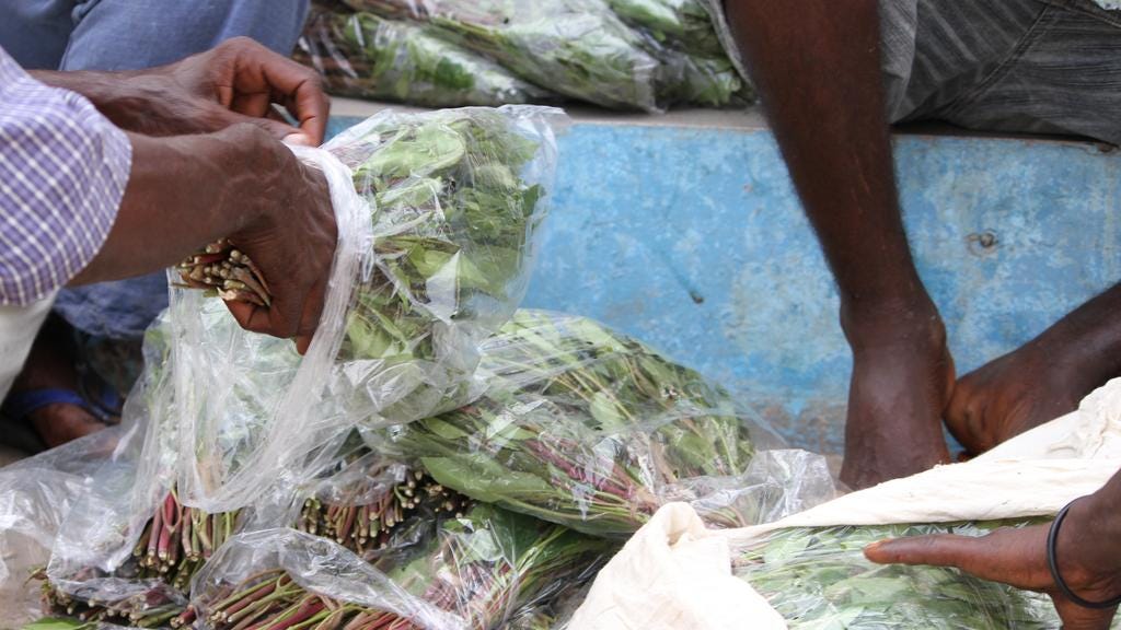 Bundles of qat are sorted at a fishing port in Djibouti before being transferred to the north of the country. This shipment is destined for the town of Obock, an hour-long speedboat ride across the Bay of Tadjoura from Djibouti’s capital. Maan Y Ahmed for The National