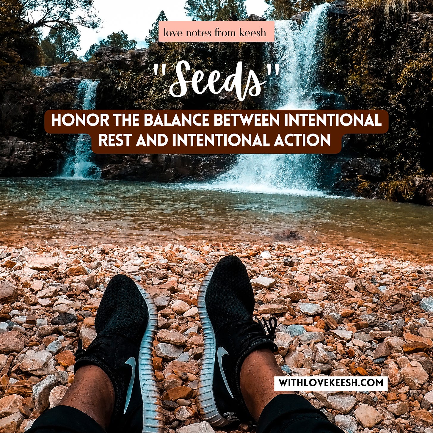"Seeds" Honor the balance between intentional rest and intentional action 