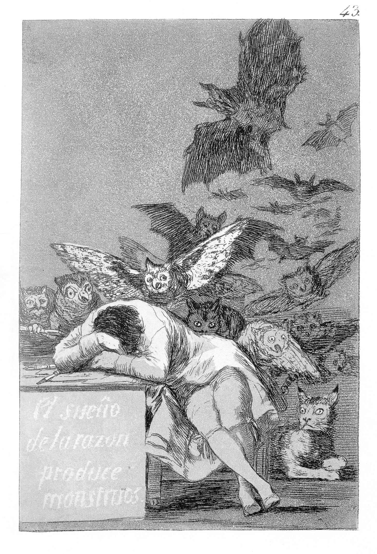 https://ukdhm.org/v2/wp-content/uploads/2017/08/the_sleep_of_reason_produces_monsters-Goya-1797-to-1799.jpg