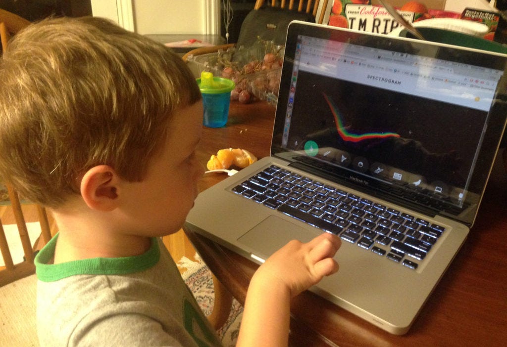 Milo tries Chrome Music Lab