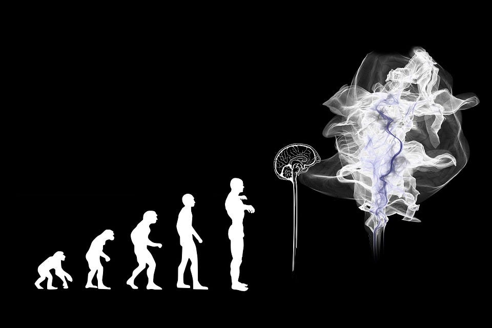 Evolution, Artificial Intelligence, Brain, Ghost