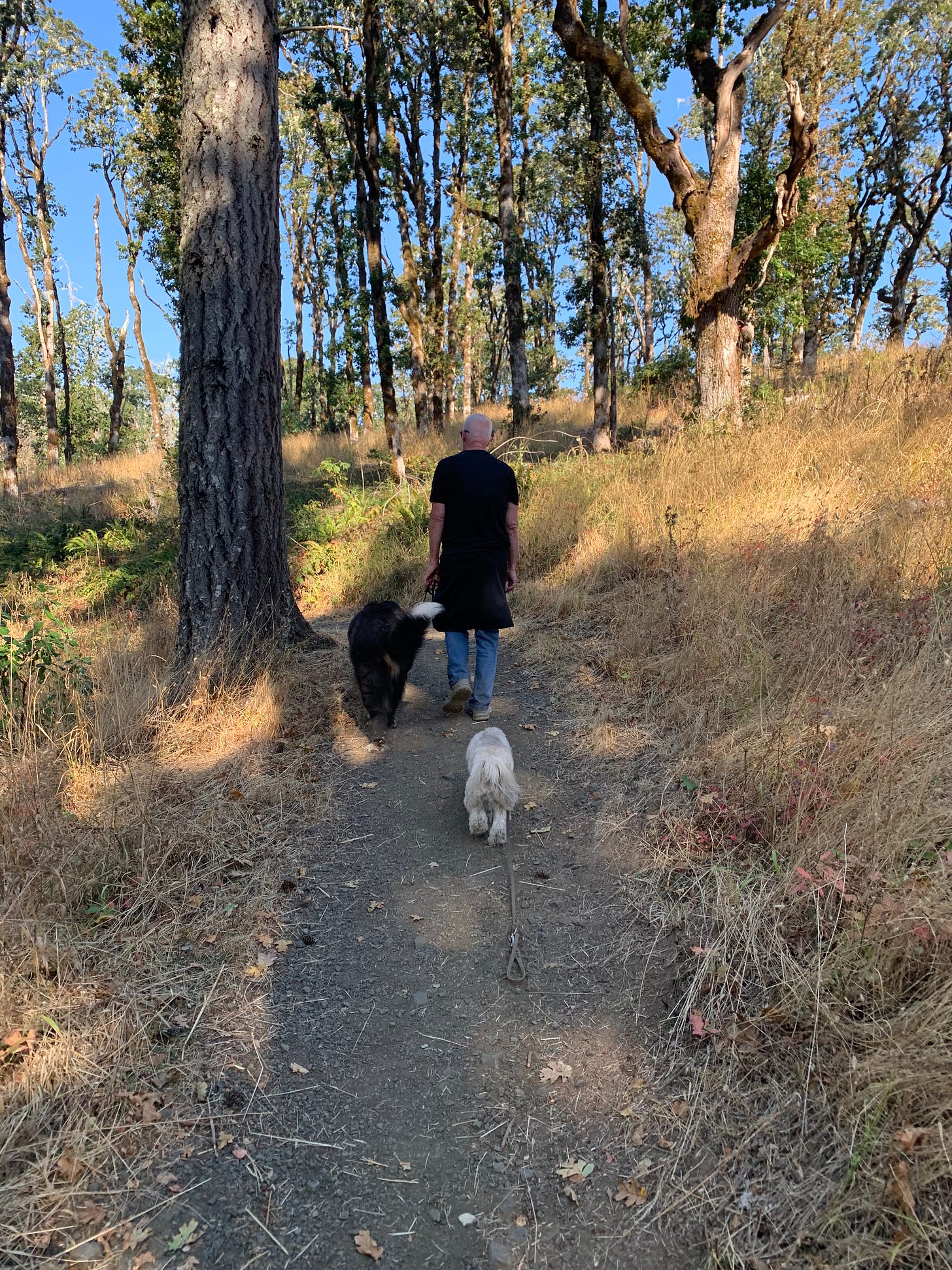 Jim walks down a trail in the wilds of Oregon, with a Bernese Mountain dog by his side and Elsa trundling along behind them.