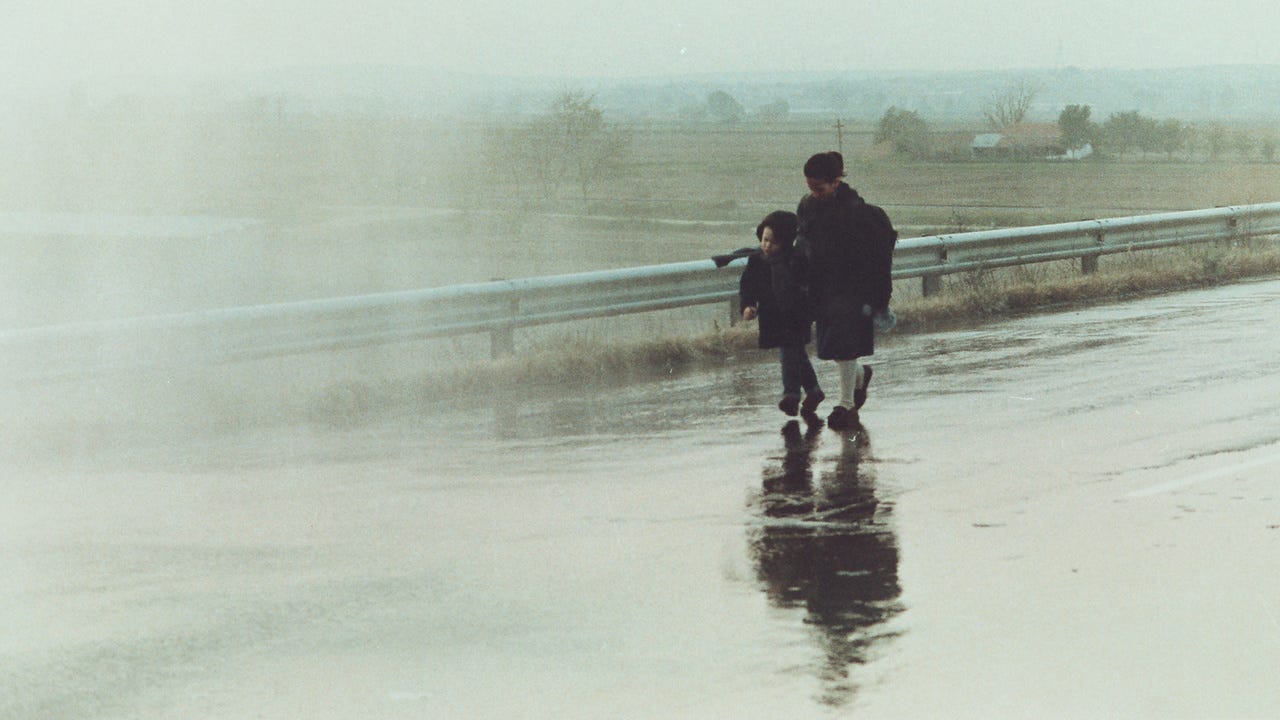 Landscape in the Mist (1988) | MUBI