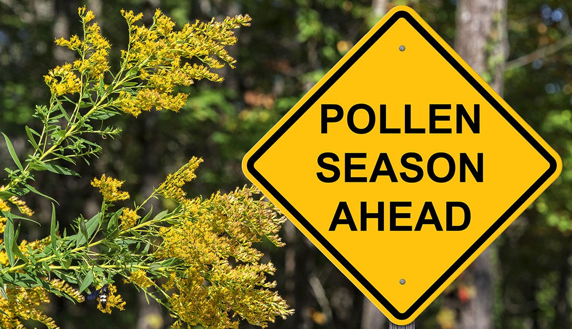 Rising Pollen Count Attacks Allergy Sufferers