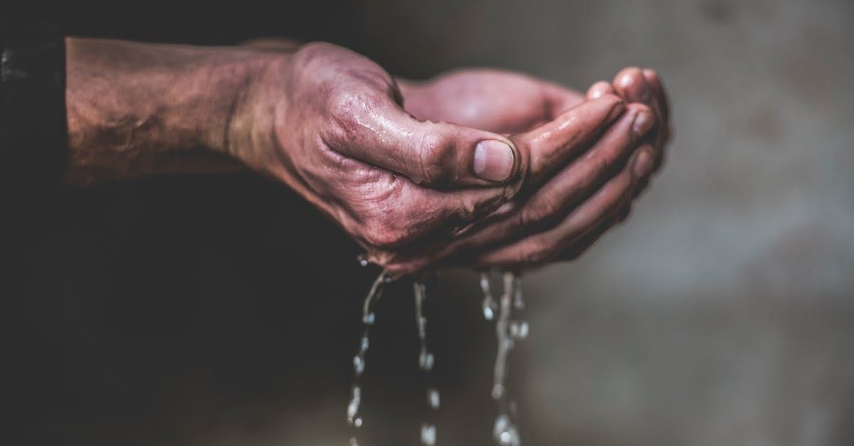 Free stock photo of hands, hands holding water, life giving water