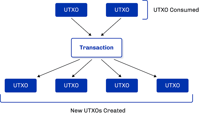 A box model showing UTXOs consumed into a transaction and the new UTXOs created out of a transaction.