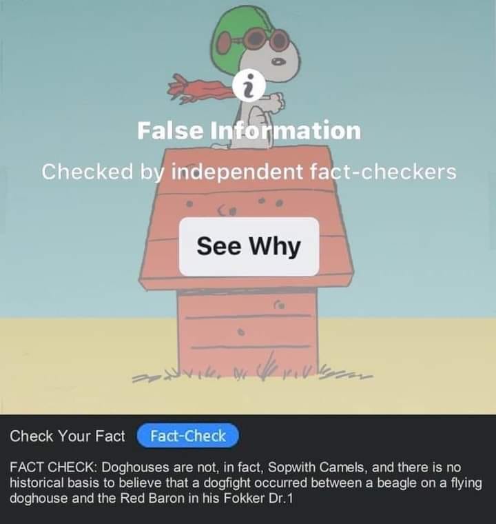 May be a cartoon of text that says 'False Info ormation Checked by independent fact-checkers See Why Check Your Fact Fact-Check FACT CHECK: Doghouses are not, in fact, Sopwith Camels, and there is no historical basis to believe that dogfight occurred between a beagle on a flying doghouse and the Red Baron in his Fokker Dr.'