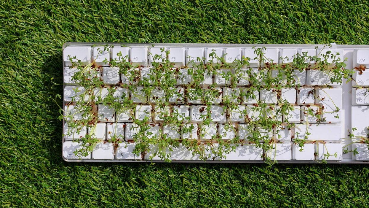 Photo of computer keyboard on lawn with grass growing up through the keys
