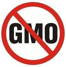 Petition · BAN GMO seeds and prohibit ...