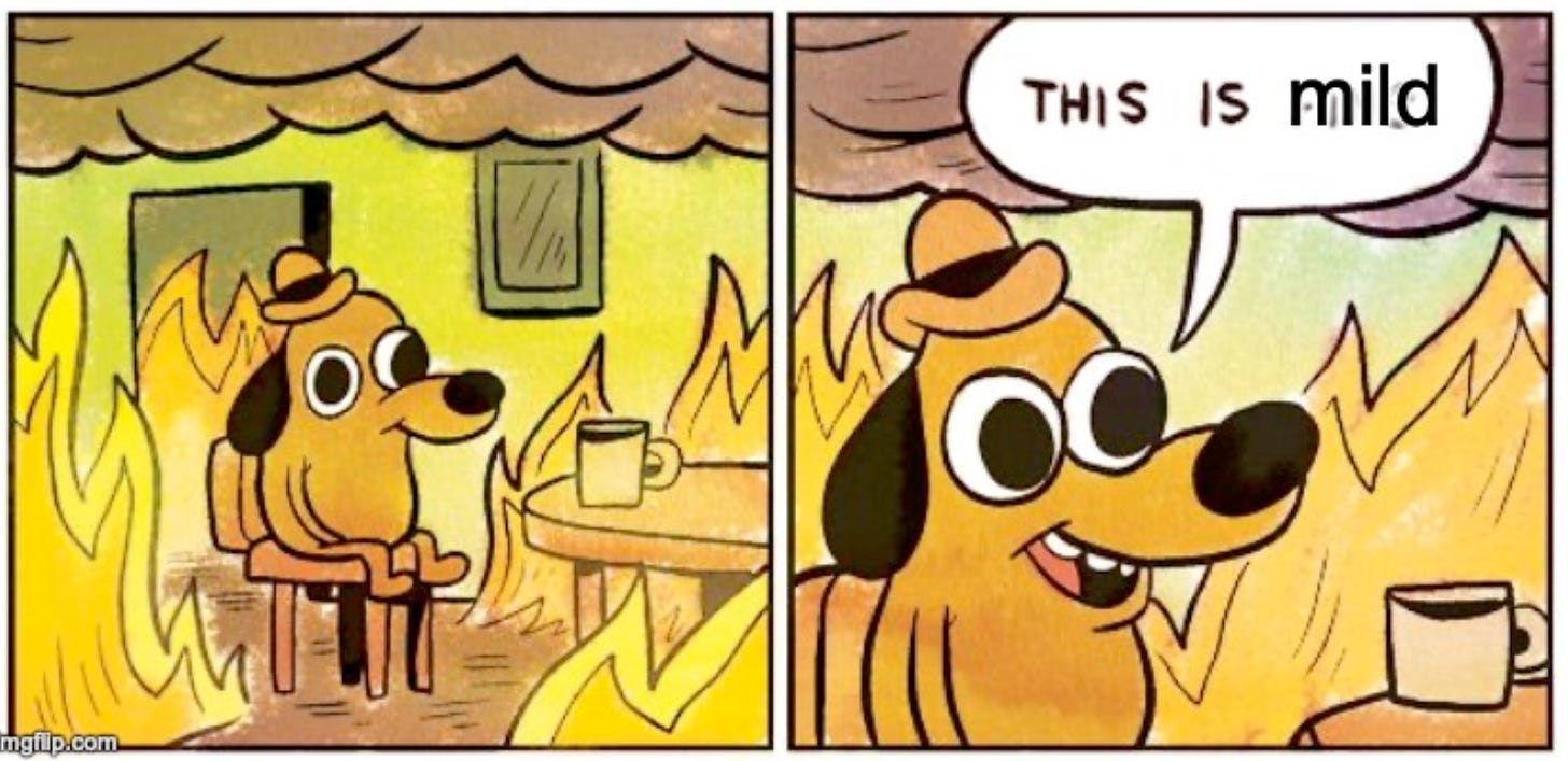 this is fine cartoon dog sitting in the burning room, with the bubble saying "this is mild"