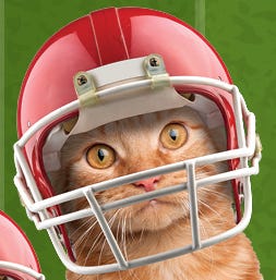 cat with football helmet Off 79% - www.loverethymno.com