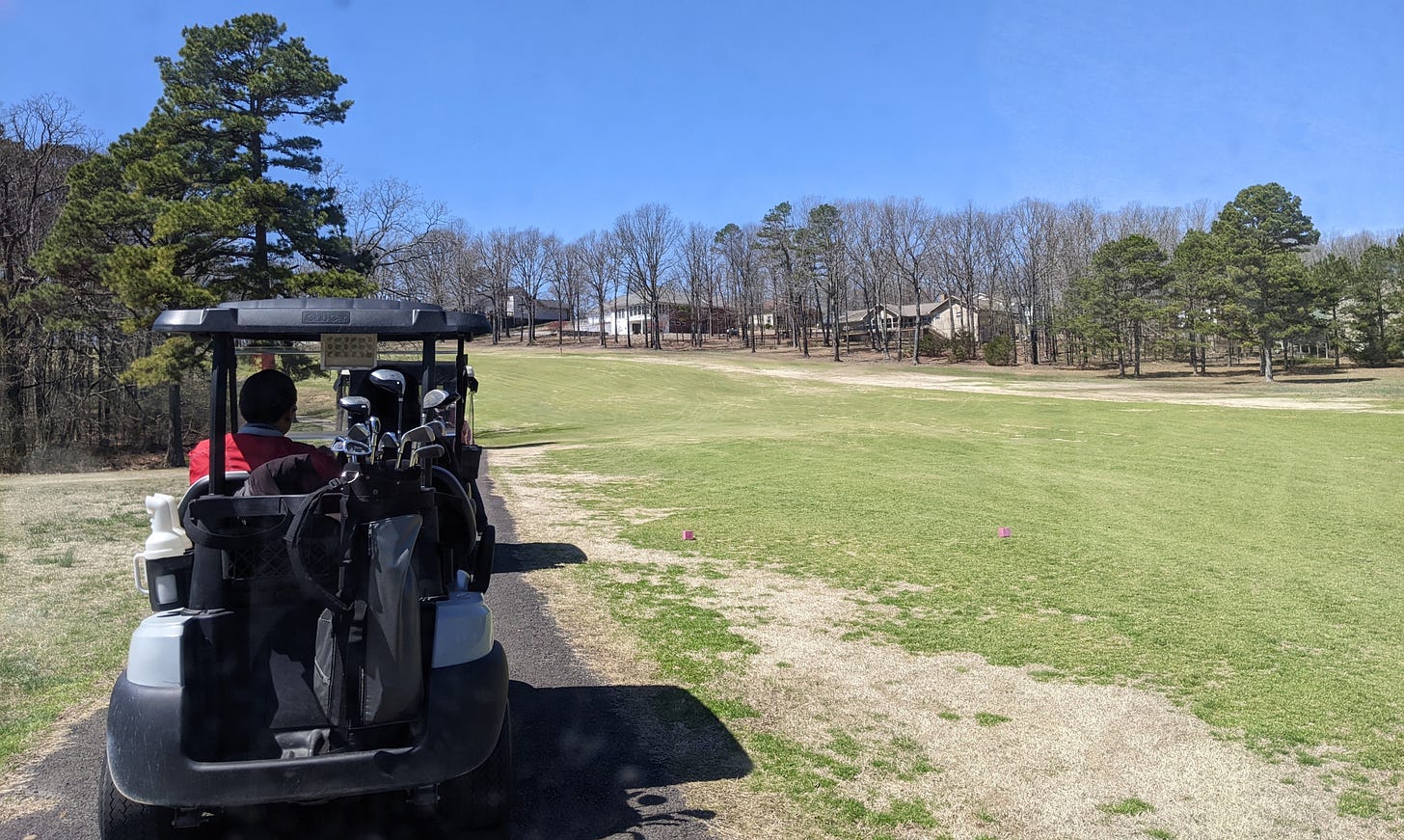 back of a golf cart on a tree-lined course