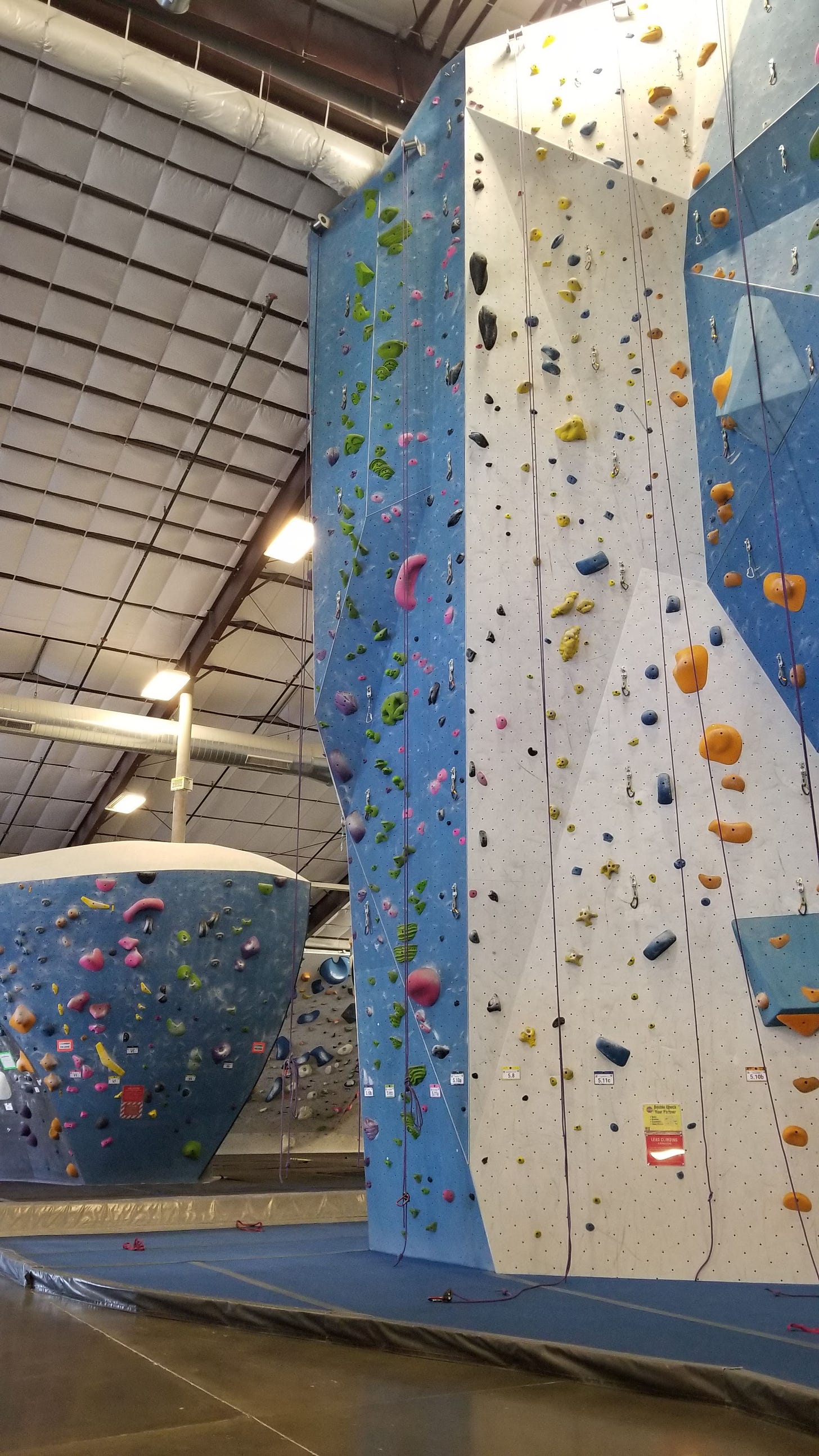 a climbing wall at my local gym