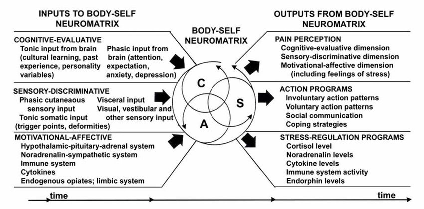 The body self neuromatrix theory. Melzack R. Published in Pain ...