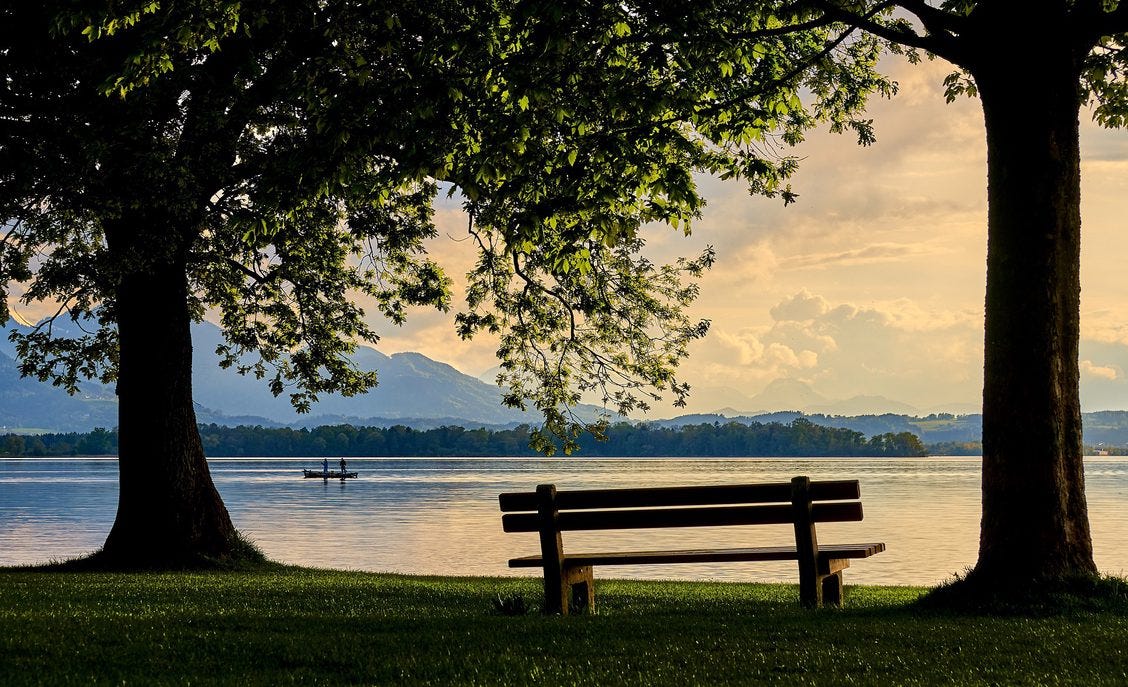 Empty bench on grass between two trees facing a large lake with mountains in the distance. Calming atmosphere.