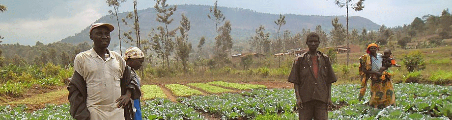 Burundi: incorporar integración, sostenibilidad y eficiencia en la  agricultura | FAO | Organización de las Naciones Unidas para la  Alimentación y la Agricultura