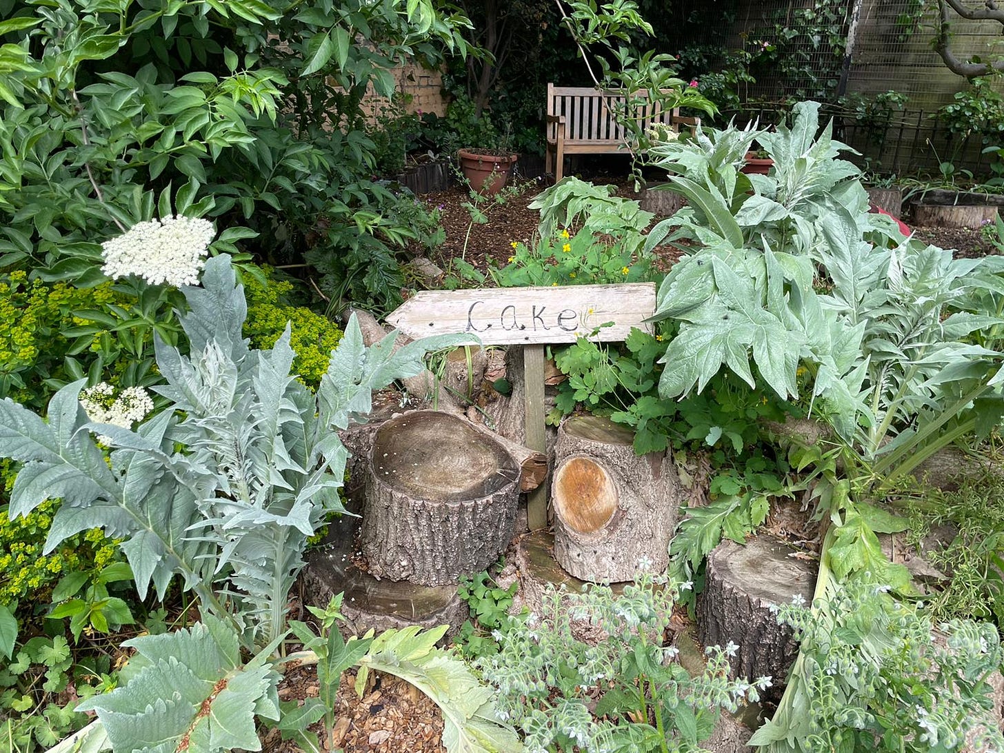 Colour photo of an outdoor area with plants, logs, a wooden bench and a wooden sign that reads 'cake'