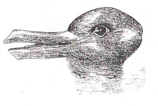 Duck-Rabbit - The Illusions Index