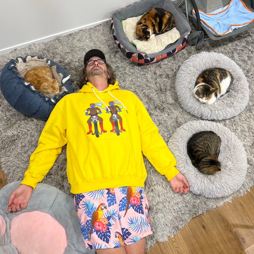 Me lying on the floor surrounded by cats at the Purrs & Beans cat cafe on Auckland's North Shore