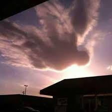 Image result for ordinary angel Image result for ordinary angel