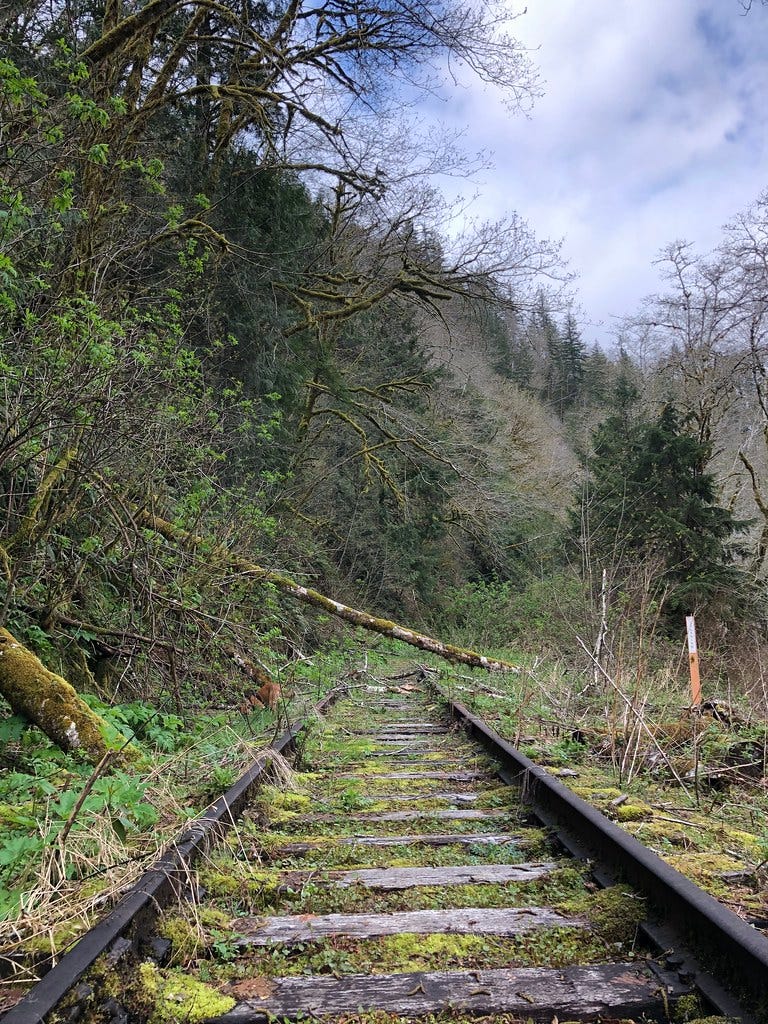 Abandoned railroad, Oregon