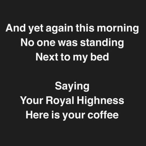 your-highness-2022-03-18-02_01_photo